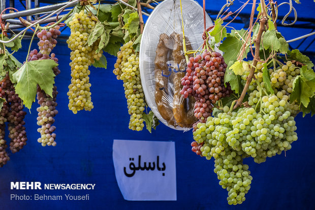 مهرجان "العنب" بمدينة "اراك" الايرانية 