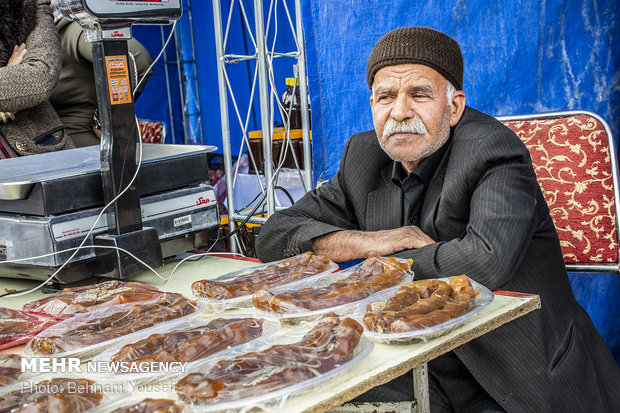 Grape Festival in Markazi province