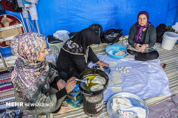 Grape Festival in Markazi province