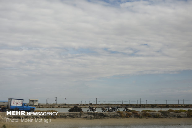 Golestan prov., best hub for shrimp production, farming 