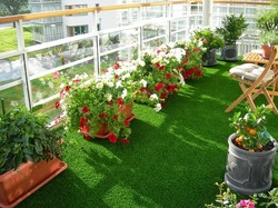 Tehran Municipality to offer free plants, gardening courses