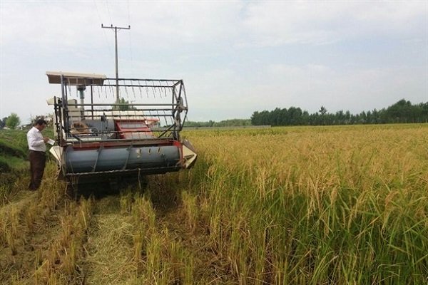 تخصیص ۱۱۰۰ میلیارد ریال تسهیلات خرید ماشین های کشاورزی در گیلان