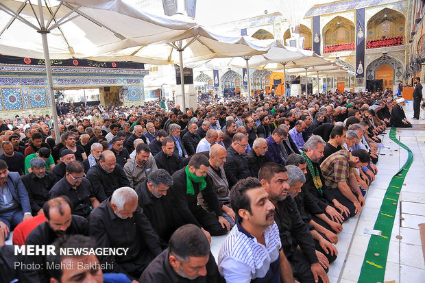 زائران اربعین حسینی در حرم امیرالمومنین