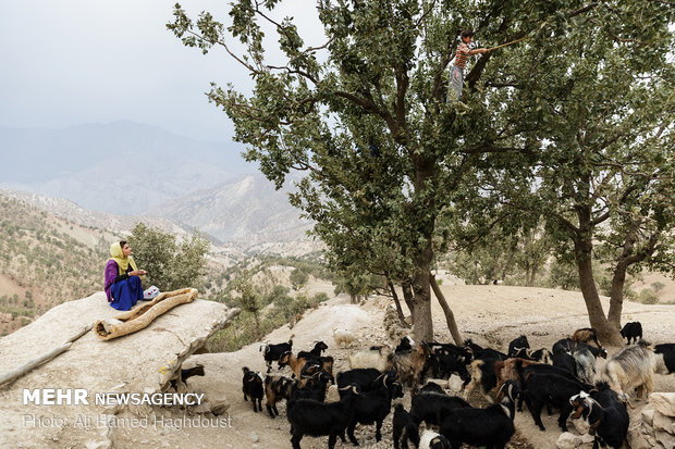 Bakhtiari women in Lorestan