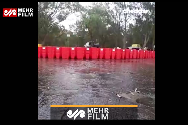 سیل‌بند خلاقانه