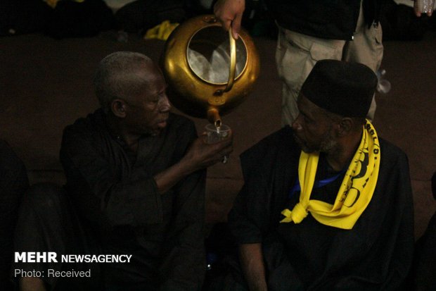 حضور شیعیان نیجریه در مسیر نجف به کربلا