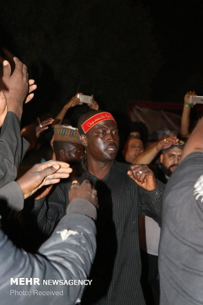 حضور شیعیان نیجریه در مسیر نجف به کربلا