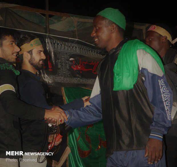 حضور شیعیان نیجریه در مسیر نجف به کربلا