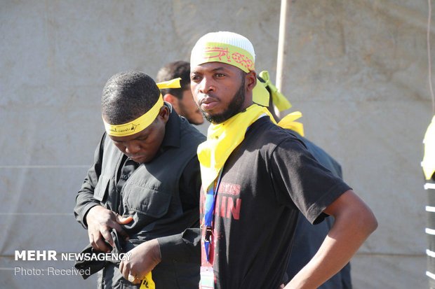 حضور شیعیان نیجریه در مسیر نجف به کربلا