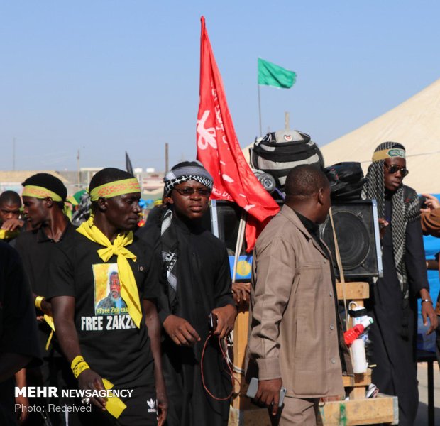 حضور شیعیان نیجریه در مسیر نجف به کربلا