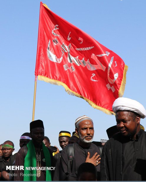 حضور شیعیان نیجریه در مسیر نجف به کربلا