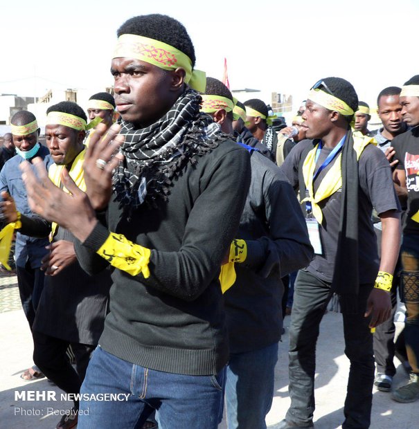 حضور شیعیان نیجریه در مسیر نجف به کربلا