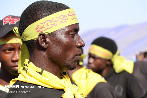 حضور شیعیان نیجریه در مسیر نجف به کربلا