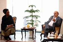 DOE chief Isa Kalantari in a meeting with UNDP representative Ugochi Daniels