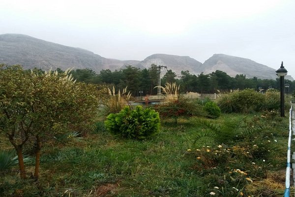 بارش باران امیدها را زنده کرد/ آغاز فصلی تازه در کرمان