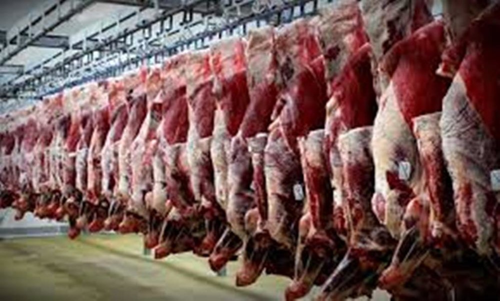 توزیع ۱۴۵ تن گوشت قرمز گرم در استان قزوین