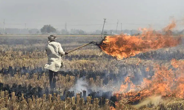 ناسا نے بھارتی پنجاب میں فصلوں کی باقیات جلانے کی تصویریں جاری کردیں