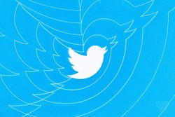 درخواست مذاکره با اینستاگرام/ توئیتر با اکانت‌های فیک برخورد کند
