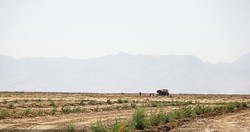 ‘Salt particles raising from Lake Urmia contained by 80%’