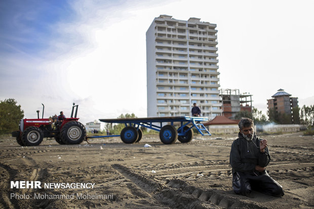 Fishing season in Caspian Sea