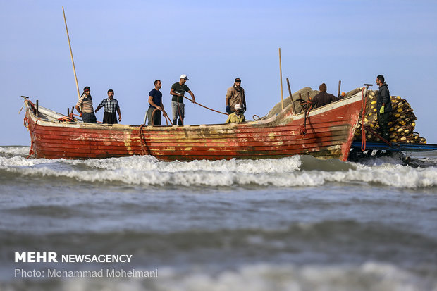 Fishing season in Caspian Sea