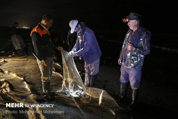 Fishing season in Caspian Sea