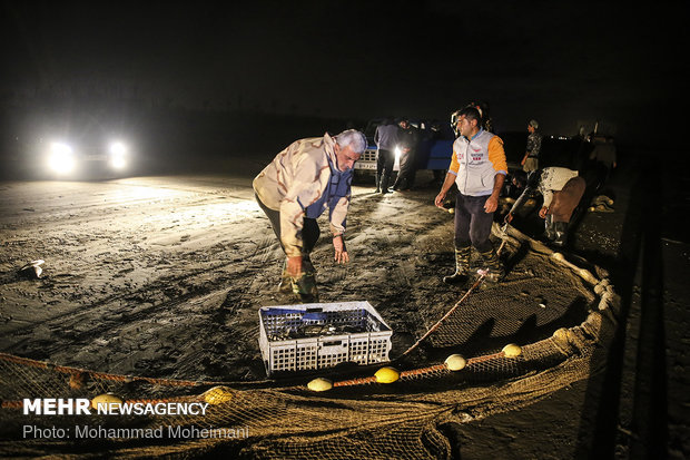 Fishing season in Caspian Sea