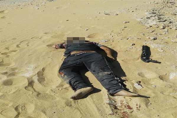 مصری فوج نے 19 وہابی دہشت گردوں کو ہلاک کردیا مصری فوج نے 19 وہابی دہشت گردوں کو ہلاک کردیا