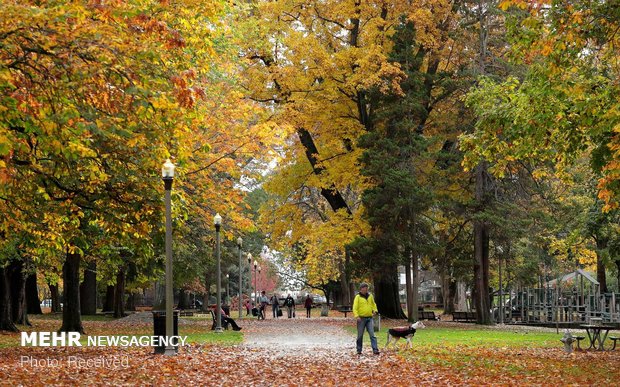 زیبایی های پاییز‎