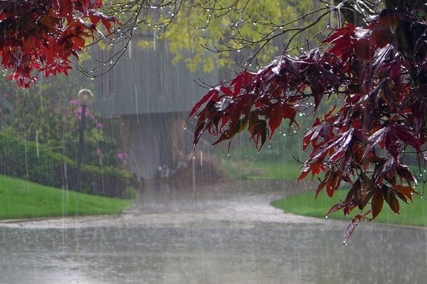 آغاز بارش باران در ایلام/ جاده ها لغزنده هستند