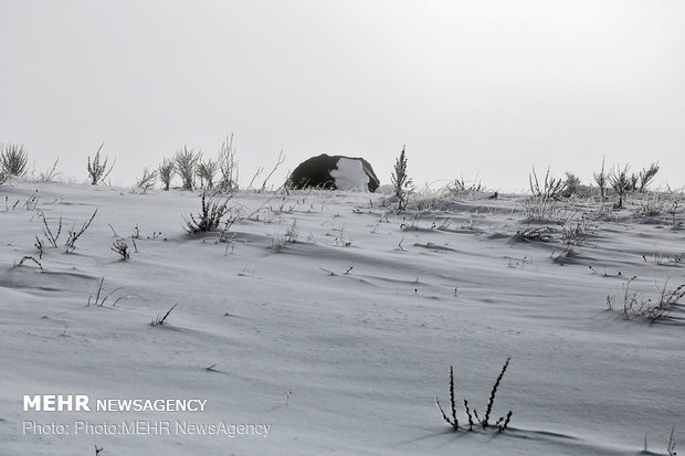 برف راه ارتباطی ۱۵ روستای شهرستان کوهرنگ را مسدود کرد