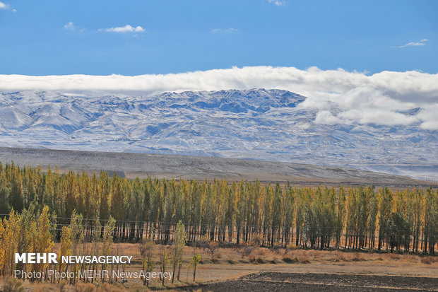 بارش برف در سائین