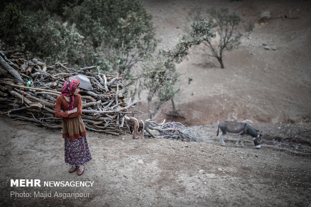 سرزمین اجدادی. زندگی اهالی روستاهای بخش ذلقی شهرستان الیگودرز