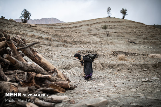 سرزمین اجدادی. زندگی اهالی روستاهای بخش ذلقی شهرستان الیگودرز