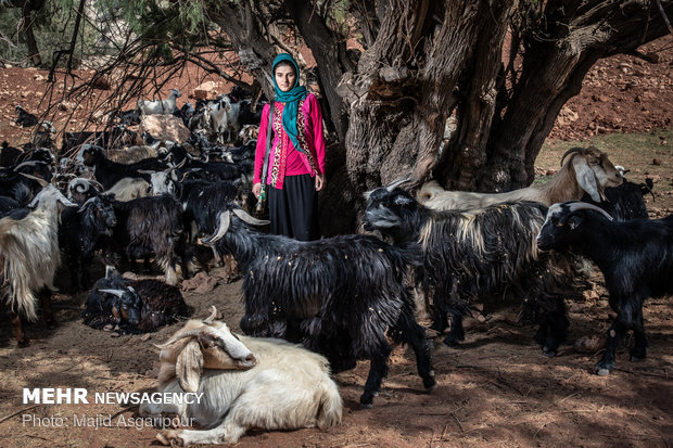  زهرا کریمی 16 ساله اهل روستای آرپنا است. خانواده زهرا از عشایر کوچ نشین <strong>بختیاری</strong>, هستند که با آغاز گرما از منطقه خود کوچ میکنند و پنج ماه از سال را در کوچ به سر می برند. زهرا بی سواد است و میگوید پدرش اجازه تحصیل به او را نداده است و او در کارهای خانه کمک مادرش میکند.