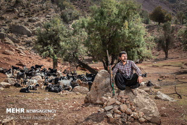 بهمن کریمی 27 ساله و اهل روستای آرپنا است. او به دامداری مشغول است. او متاهل و دارای 4 فرزند است.