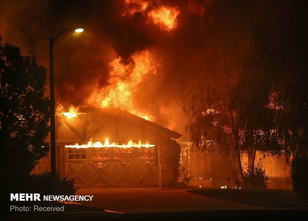 کیلیفورنیا کے جنگلات میں لگی آگ سے ہلاکتوں کی تعداد 23 ہوگئی