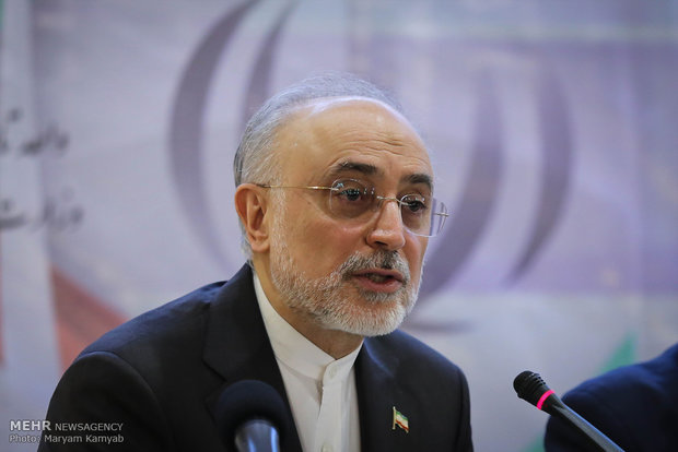 Nuclear safety cooperation priority for Iran