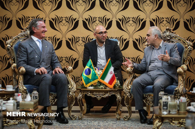 Former Brazil pres. meets with Iranian economy min.