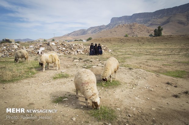 یکسال پس از زلزله