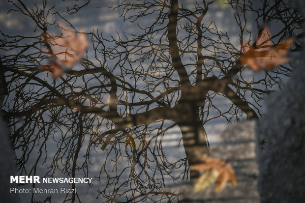 طراوت باران در تهران