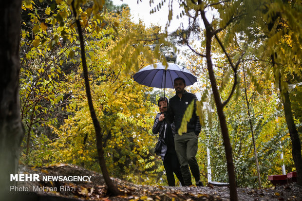 طراوت باران در تهران