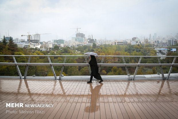 طراوت باران در تهران