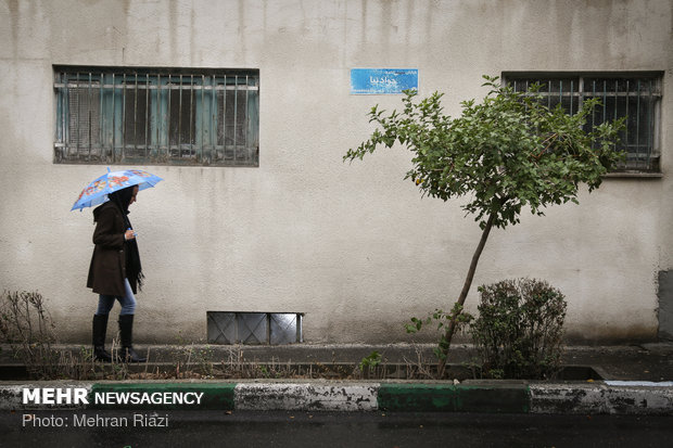 طراوت باران در تهران