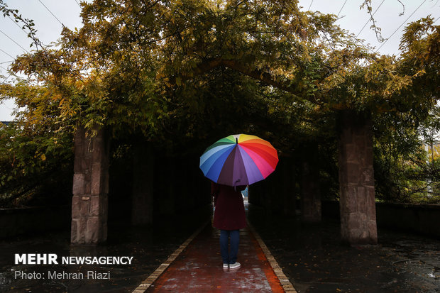 طراوت باران در تهران