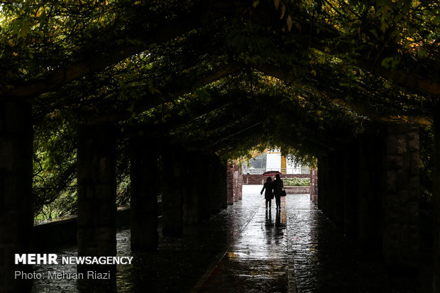 طراوت باران در تهران