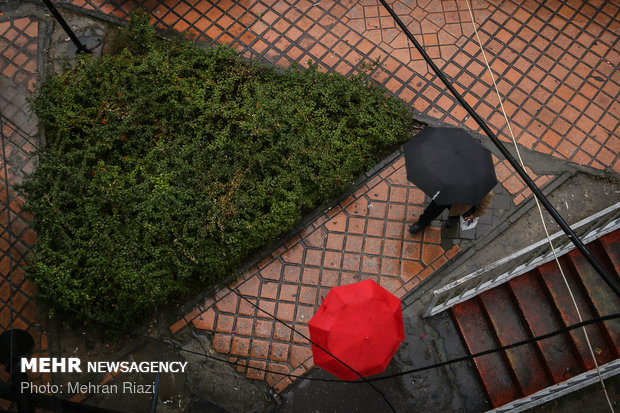 طراوت باران در تهران