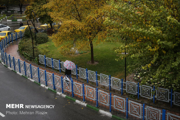 طراوت باران در تهران
