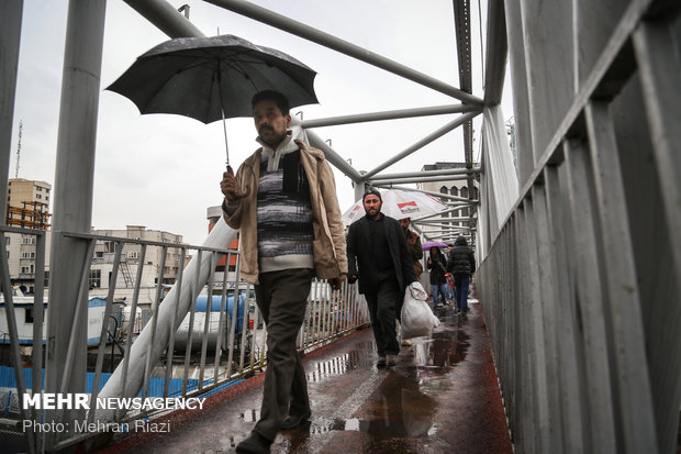 طراوت باران در تهران