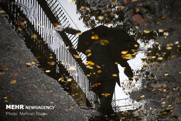 طراوت باران در تهران